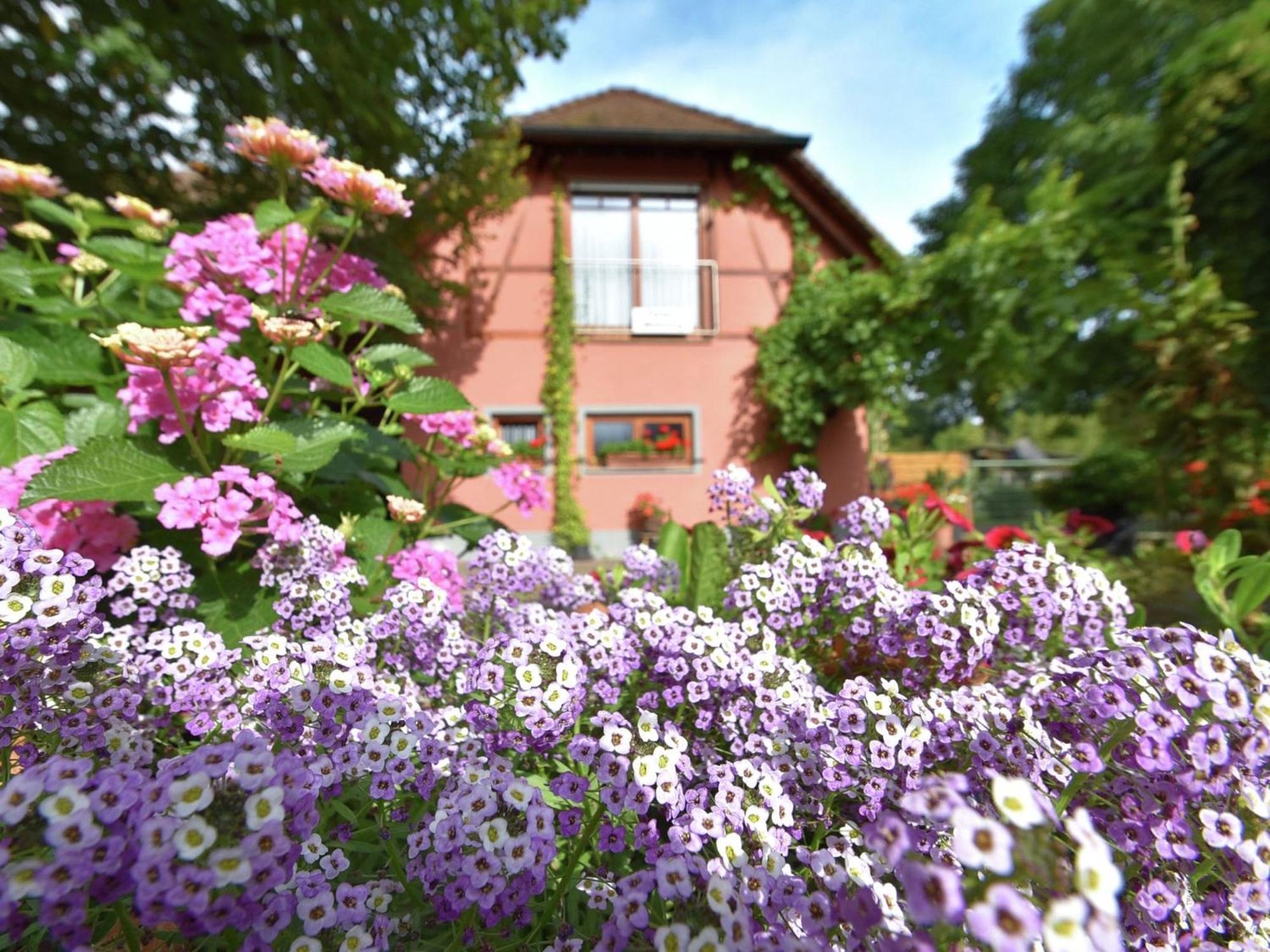 Countryside Apartment With Garden شالشتاد المظهر الخارجي الصورة